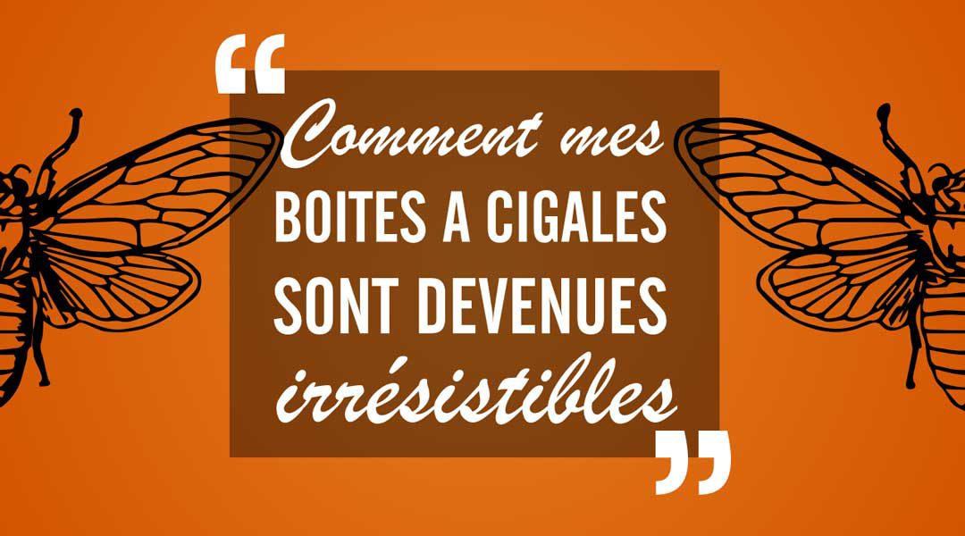 Comment mes boites à cigales sont devenues irrésistibles<span class="wtr-time-wrap after-title"><span class="wtr-time-number">2</span> minutes de lecture</span>