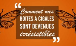 cygale