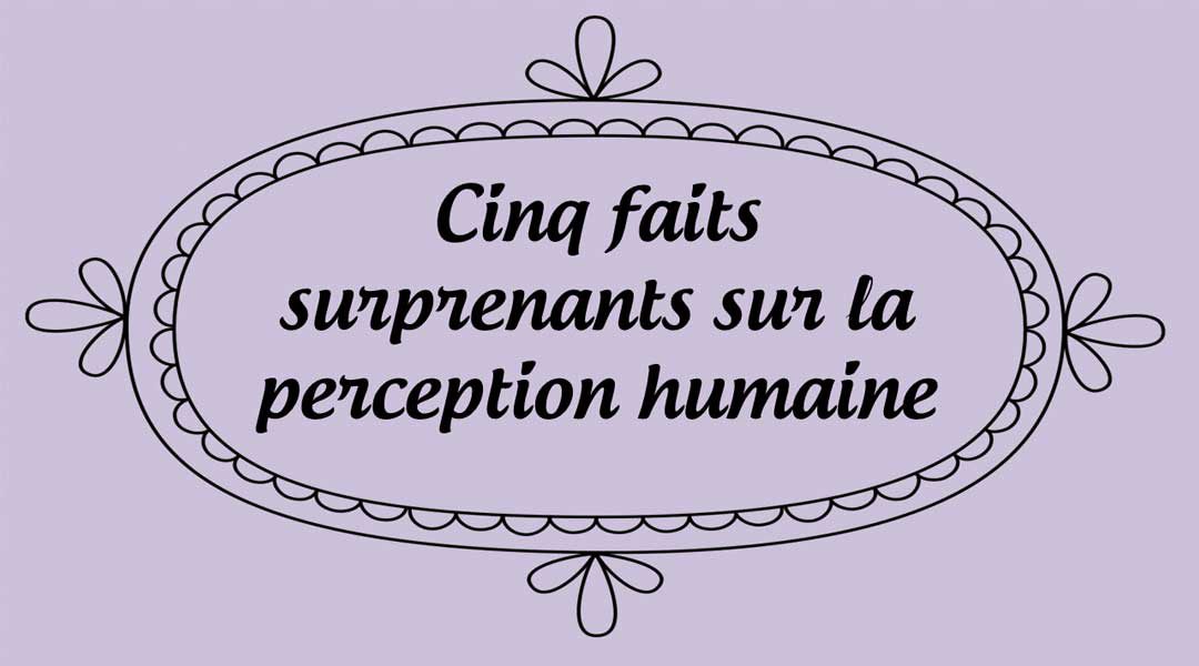Cinq faits surprenants sur la perception humaine, pour mieux cibler, cerner et combler vos clients
