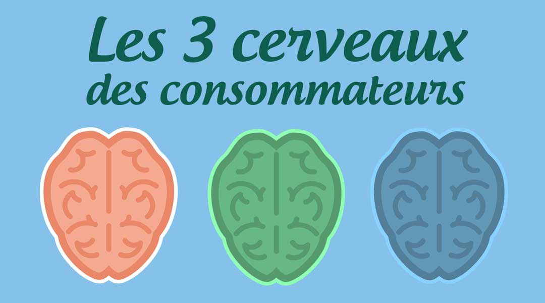 Les trois cerveaux des consommateurs<span class="wtr-time-wrap after-title"><span class="wtr-time-number">3</span> minutes de lecture</span>