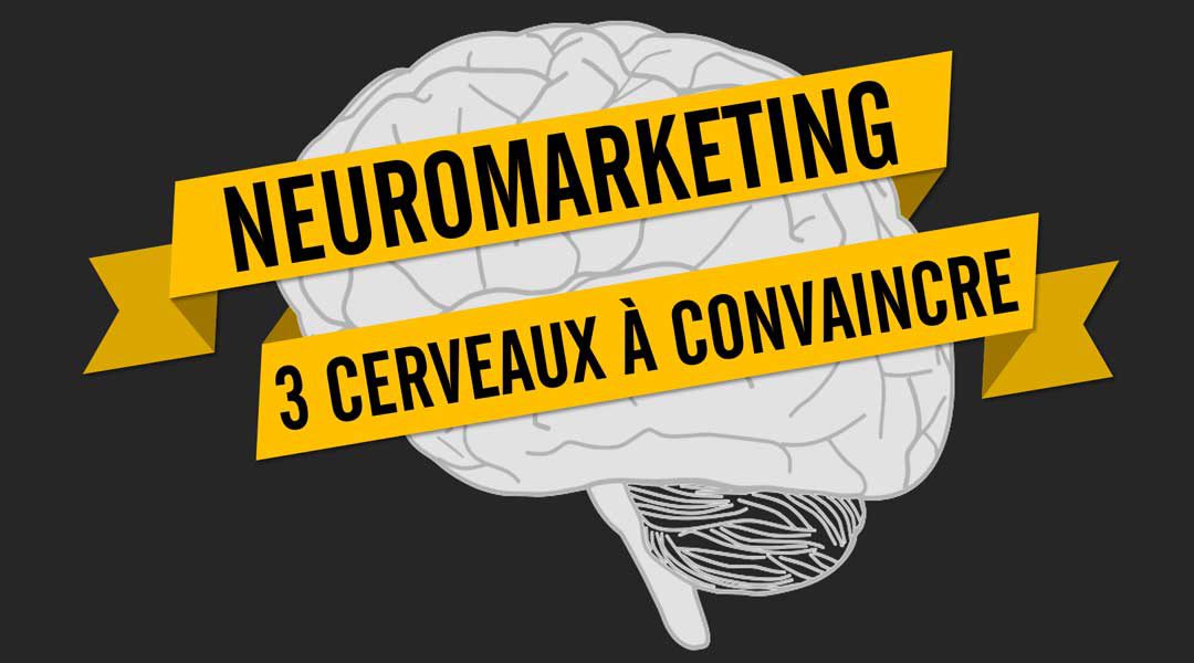 Neuromarketing: 3 cerveaux à convaincre